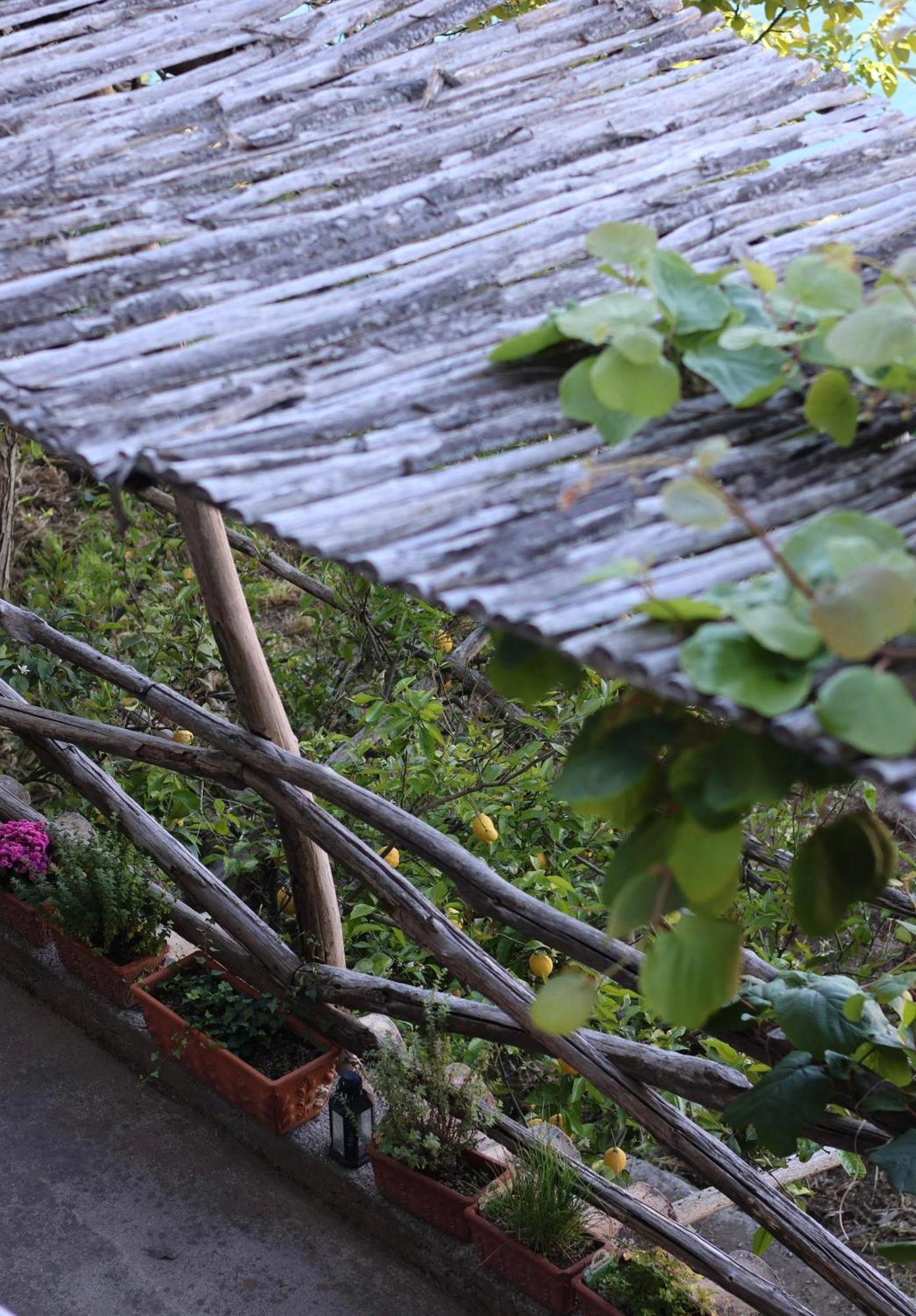 Colle Dell'Ara Bed and Breakfast Positano Buitenkant foto